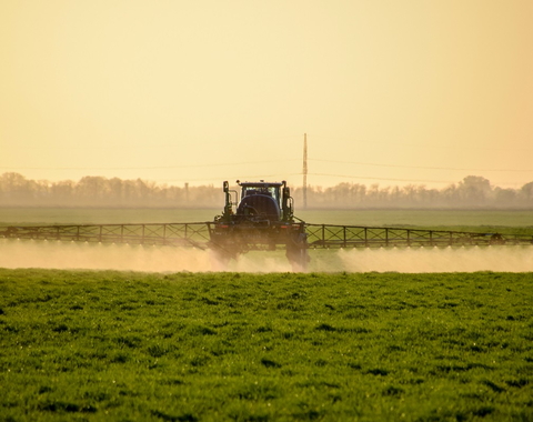 Fertilizer being sprayed on wheat fields