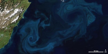 Caption: Tiny plankton are important in large-scale processes — like this wispy phytoplankton bloom that’s visible from space off the coast of New Zealand. New research from Michigan State University and the Carnegie Institution for Science have introduced a model that connects microscopic features of the plankton to larger scale observables.  Credit: Robert Simmon and Jesse Allen/NASA