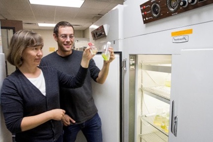 Christopher Klausmeier, a Michigan State University Research Foundation Professor, and Elena Litchman, a senior staff scientist with the Carnegie Institution for Science, study plankton, in part, to better understand the fundamental rules of nature.
