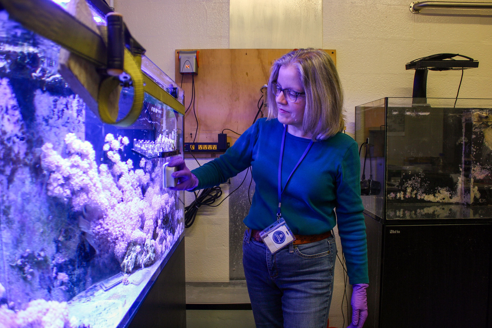 Lynne Hugendubler cleaning a coral tank