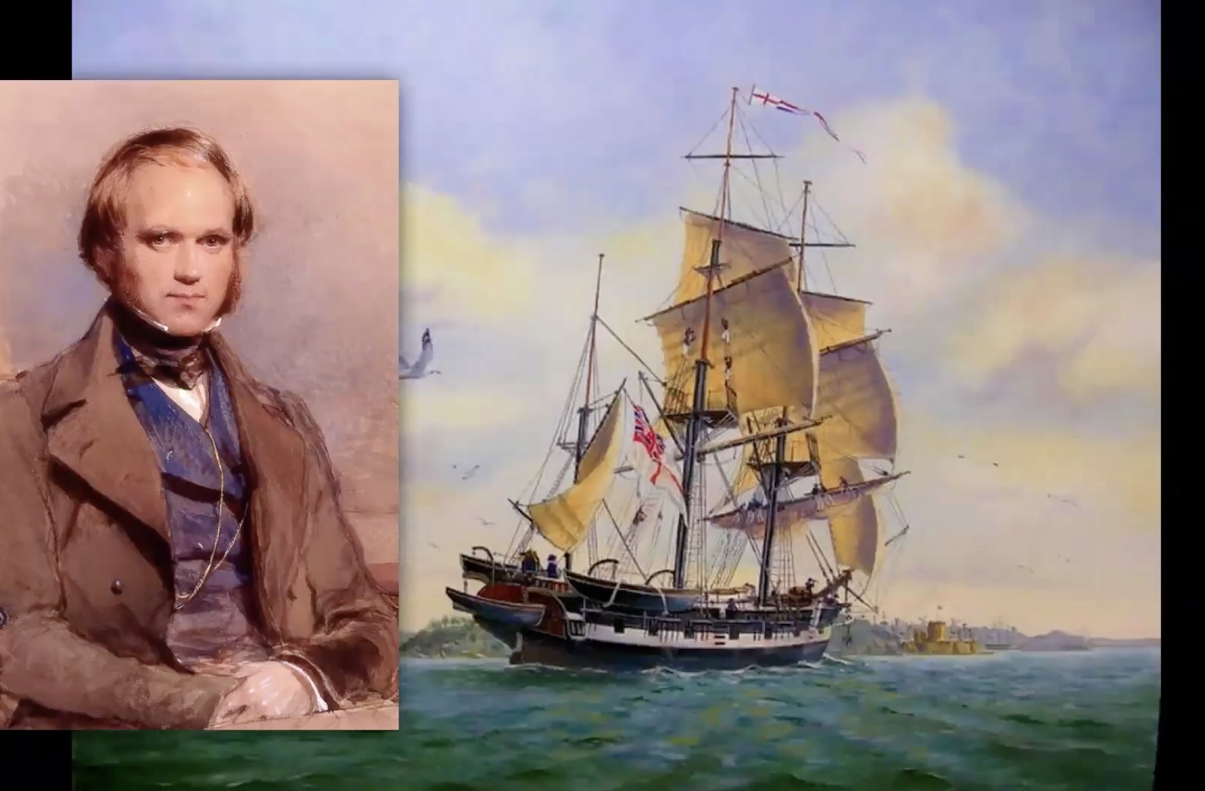 Darwin and Beagle Screenshot NLS.png