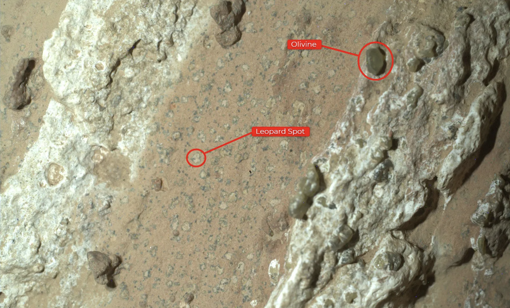 FIgure A: An annotated version of the image of “Cheyava Falls” indicates the markings akin to leopard spots, which have particularly captivated scientists, and the olivine in the rock. The image was captured by the WATSON instrument on NASA’s Perseverance Mars rover on July 18.