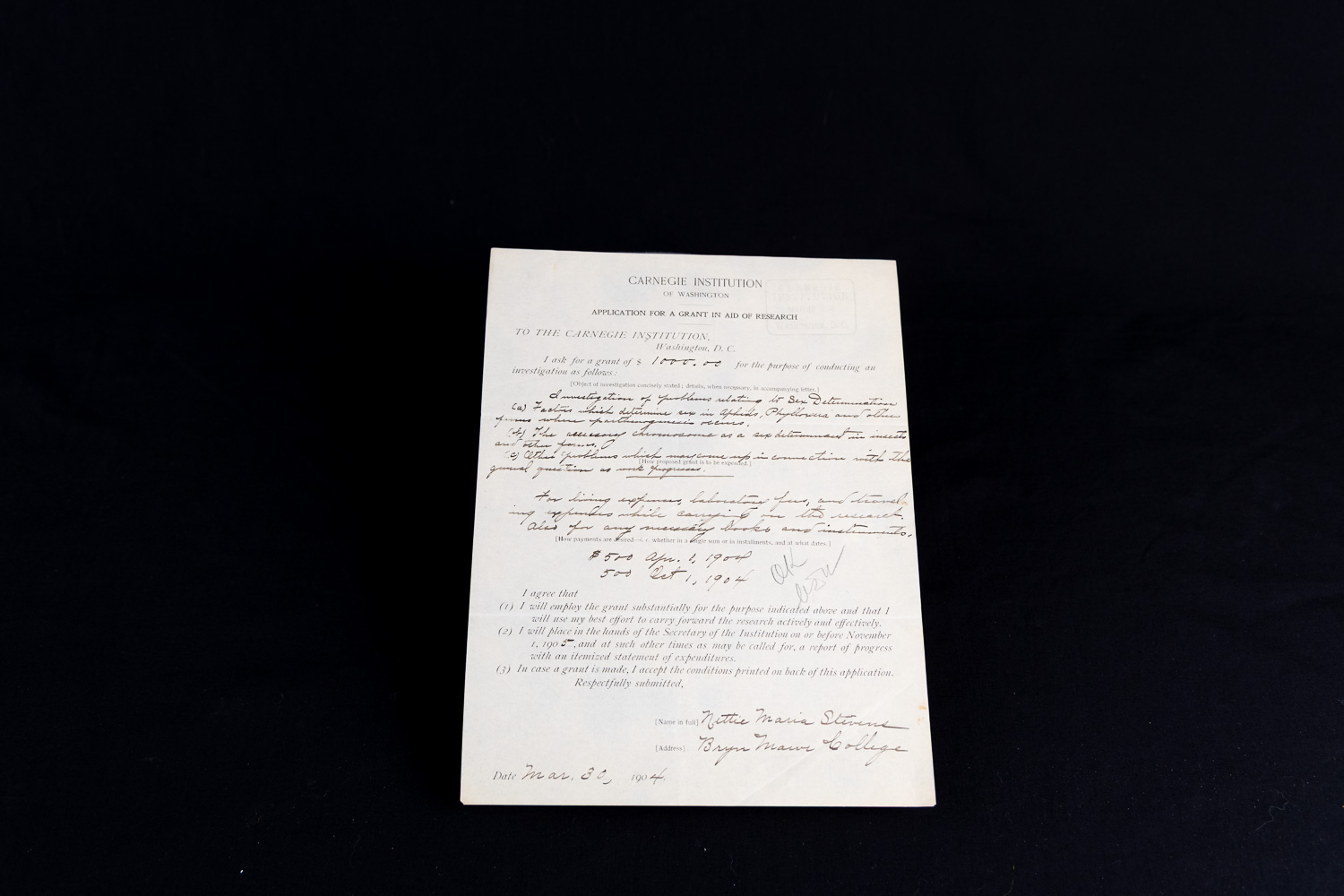 Nettie Stevens Grant