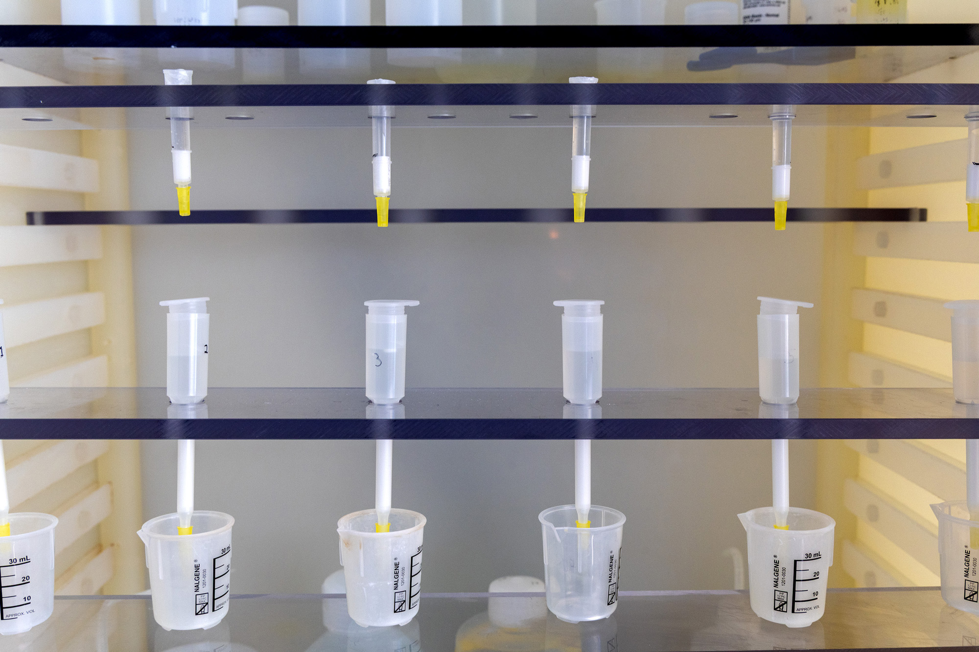 Ion extraction chromatography