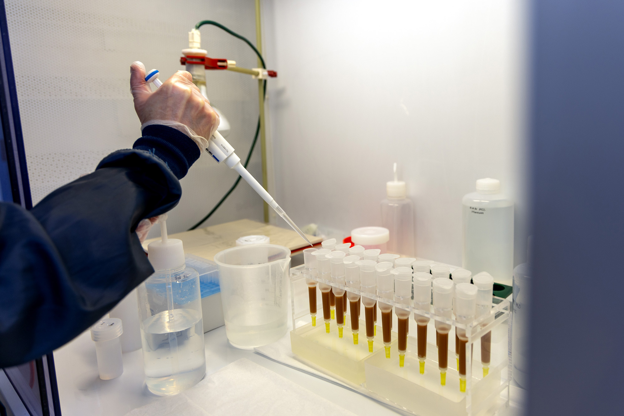 Silicon purification