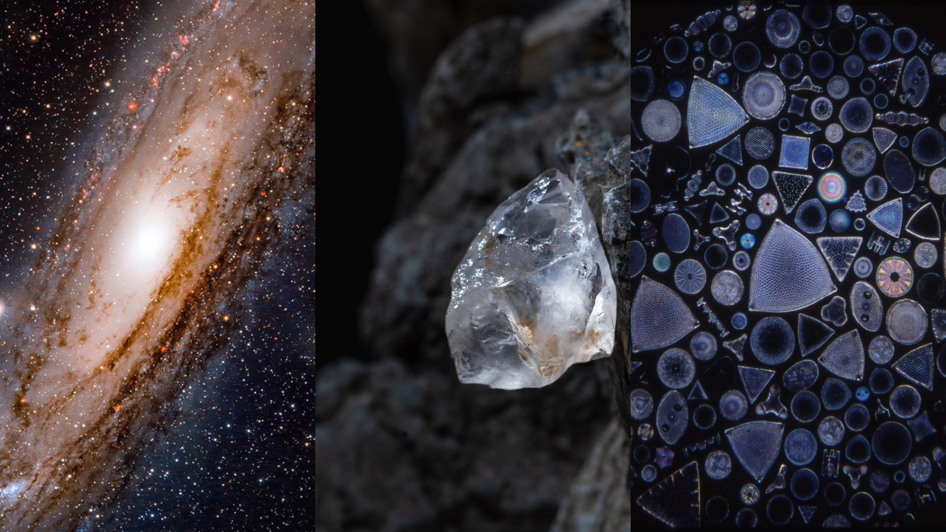 A galaxy, a raw diamond, and diatoms under a microscope, showing the diversity of carbon's role in the natural world
