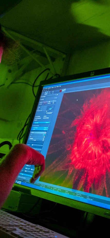 A scientist studies the screen in a darkened lab showing a red, magnified image of a sea anemone