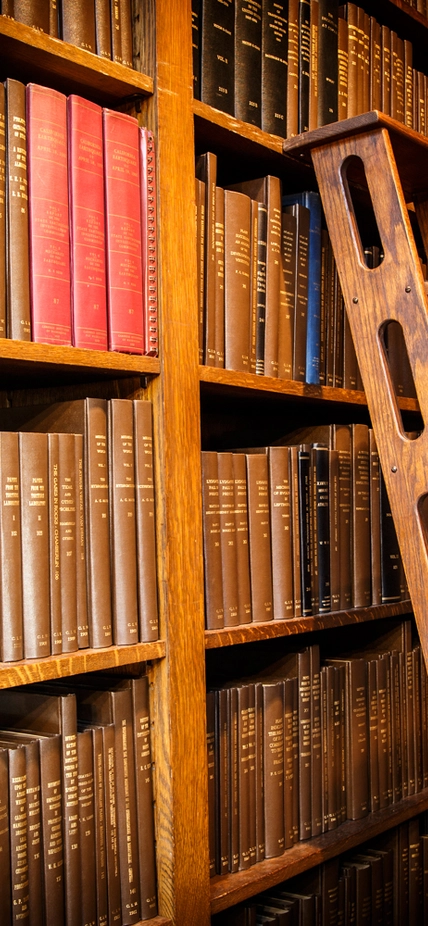 Library shelves with wooden ladder