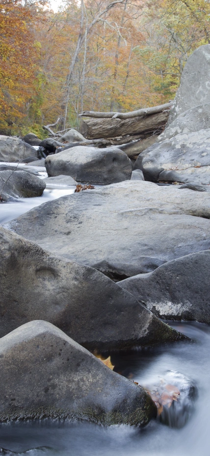 Rock Creek Park - Boulder in Creek - Fall Foliage - Photo Katy Cain