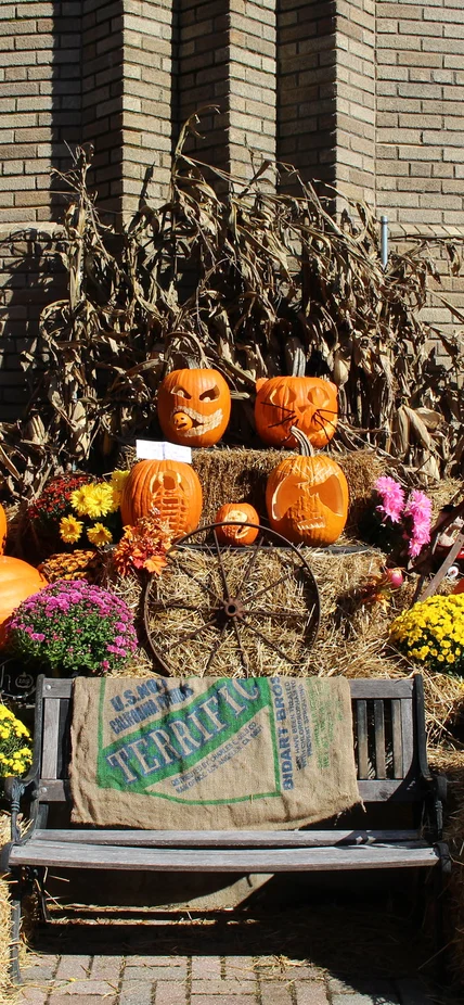 Fall Picnic Decor 2018