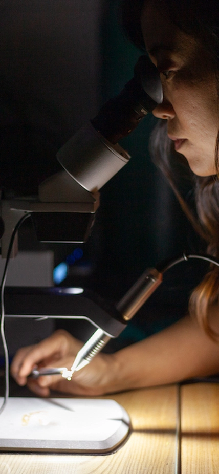 Kara Brugman welds a platinum capsule that will hold the sample (a tiny pocket of magma) for an experiment.