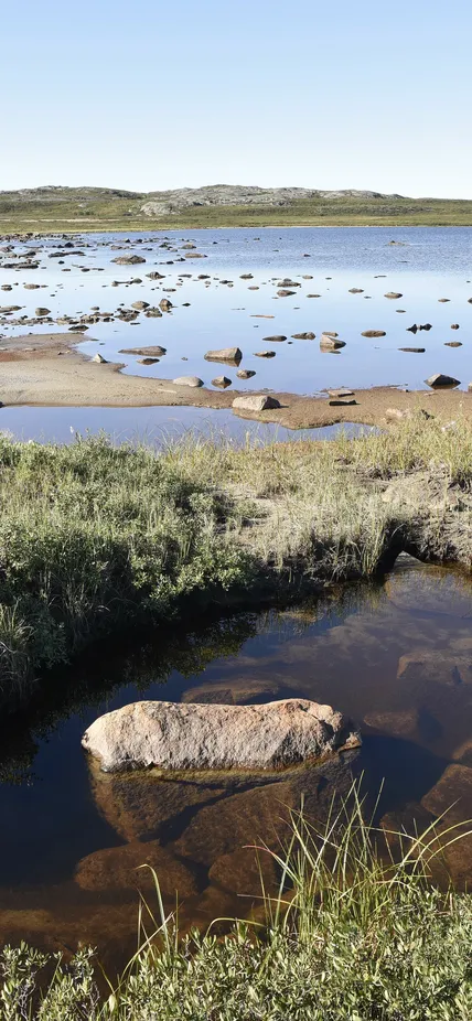 A craton of ancient rock that makes up much of the Northern Canadian shield,
