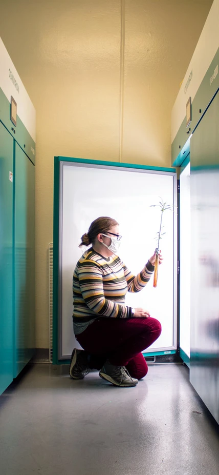 Brittany Belin kneels in front of a plant growth chamber