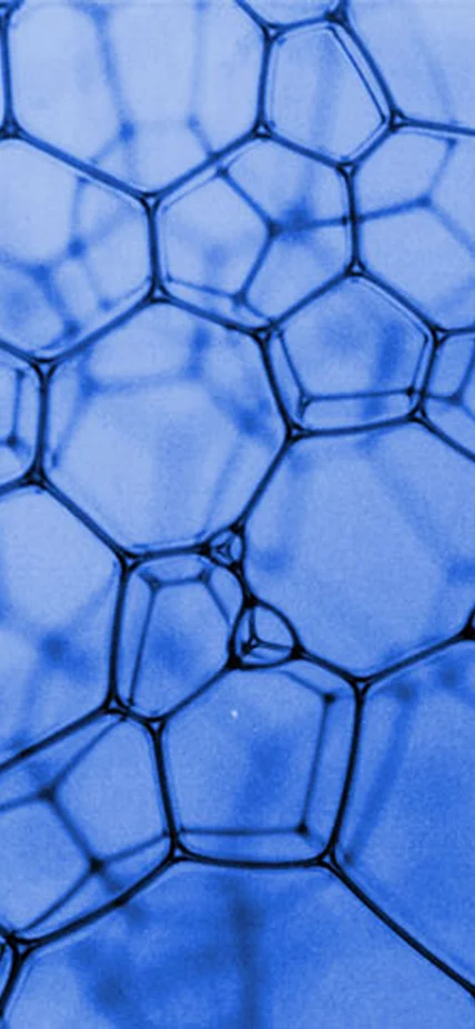 will ludington - bubble illustration