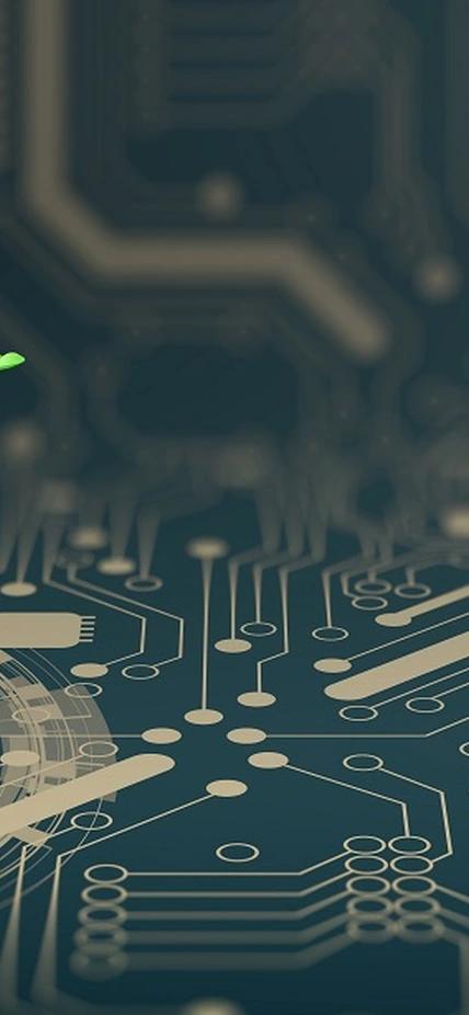 Illustration of a plant growing on a computer chip purchased from Shutterstock.