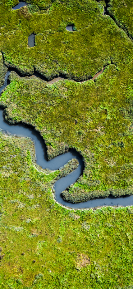 Overhead view of wetlands