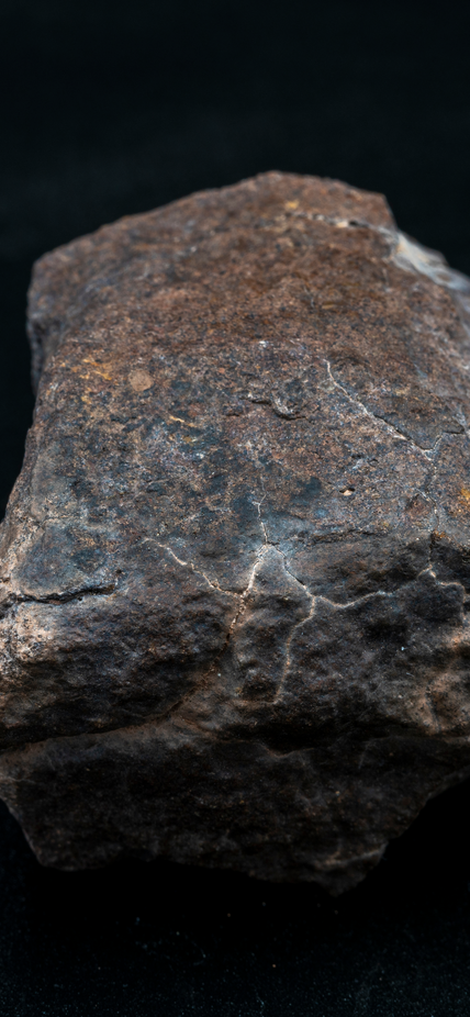 A chondrite that fell in Chile's Atacama Desert. Image purchased from Shutterstock. 
