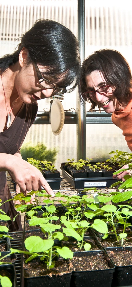 Sue Rhee and Flavia Bossi working in the greenhouse.