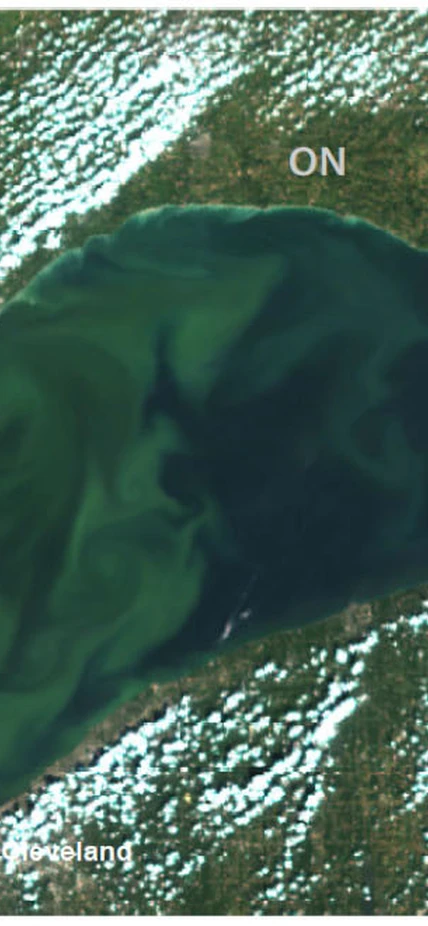 Great Lakes algal bloom - Lake Erie