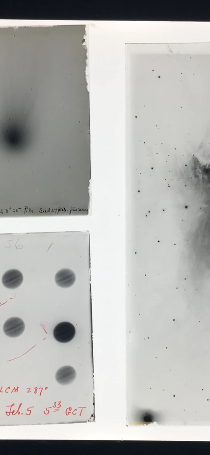 Display of photograph plates from the Carnegie Observatories Astronomical Plate Archive