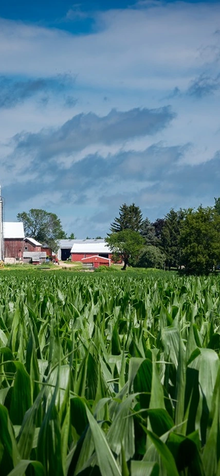 Midwest Farm