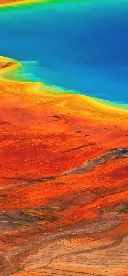 Microbial mats surround a hot spring in Yellowstone National Park