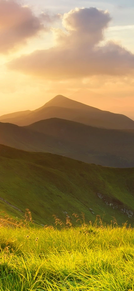 The sun rises over a mountain meadow. 