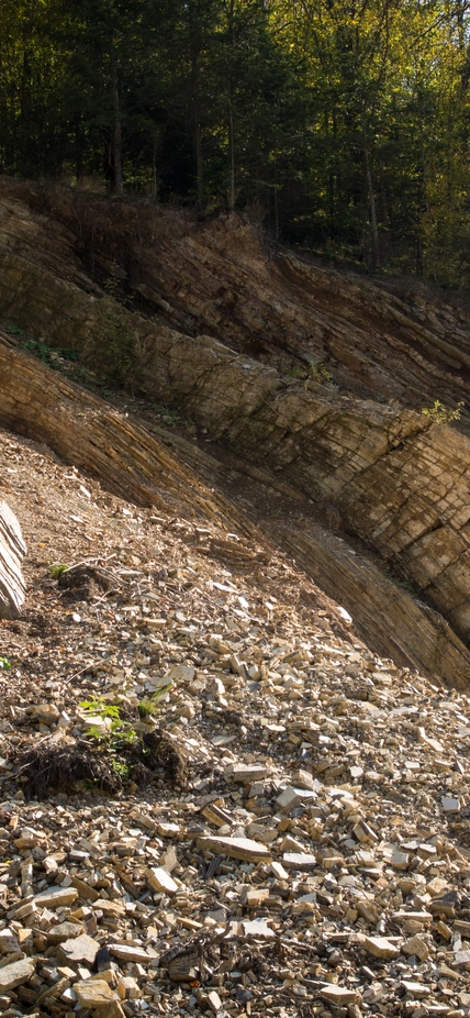 Geological structure of Carpathian Flysch and landslide in bieszczady mountains