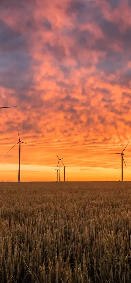 Wind turbines in a field by Karsten Würth from Unsplash