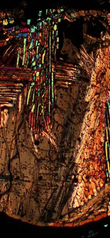 Meteorite thin section courtesy Nicole Xike Nie.