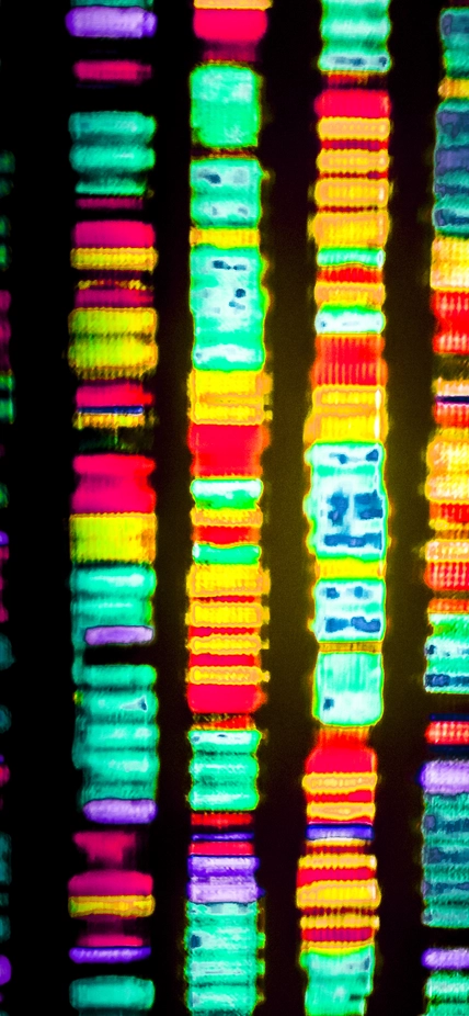 DNA sequence