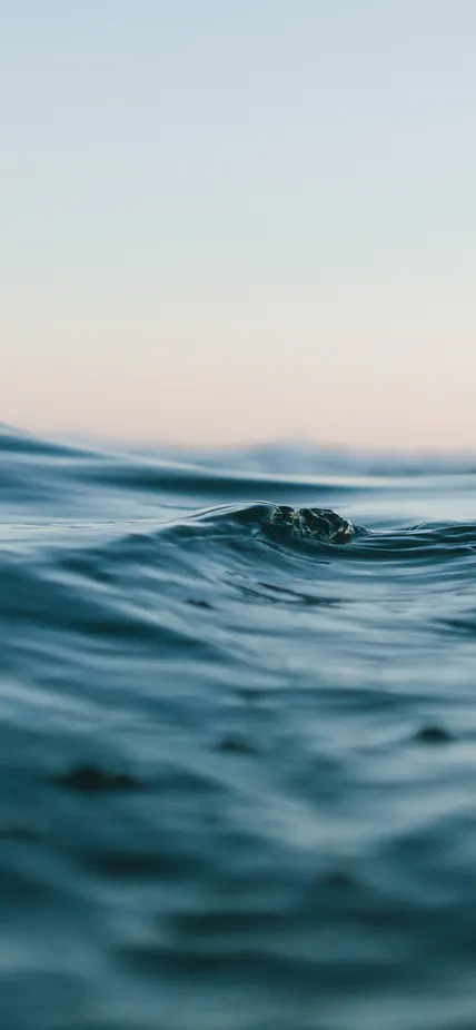 Water close-up courtesy of Unsplash