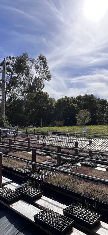 Moises Exposito-Alonso