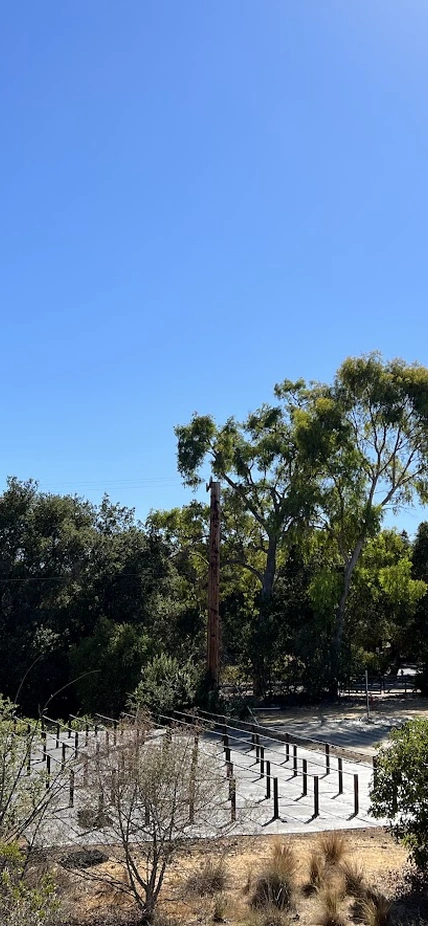 Moises Exposito-Alonso fieldwork experiment site at Stanford University campus