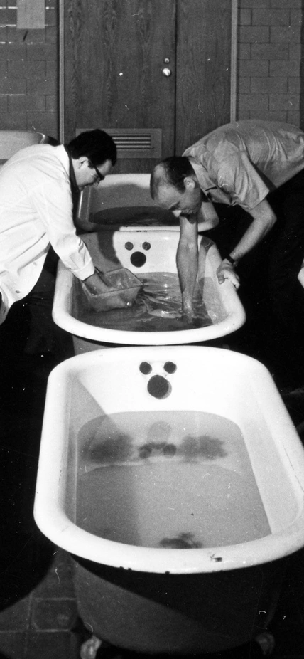 n Brown (right) and a colleague work with frogs housed in clawfoot tubs at Carnegie’s Baltimore research facility in the 1970s. Photo is courtesy of the Carnegie Institution for Science.