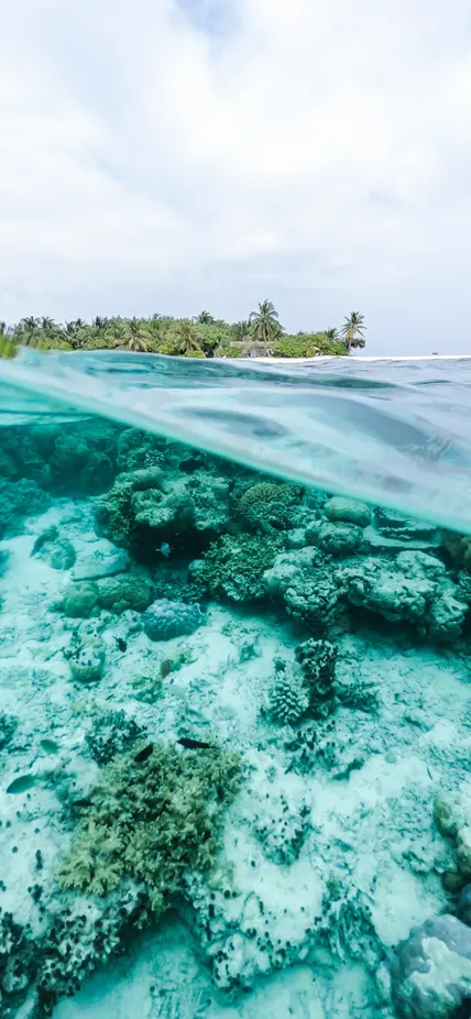 A coral reef seen underwater and an island seen above water. 