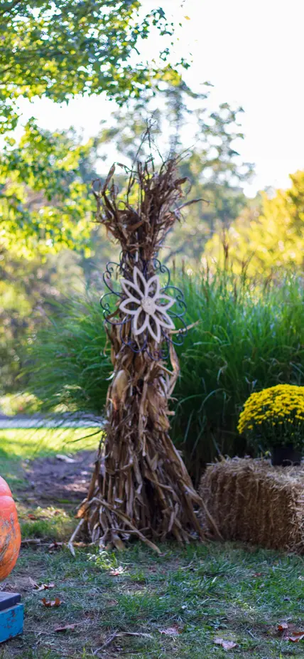 Guessing a pumpkin's weight at BBR