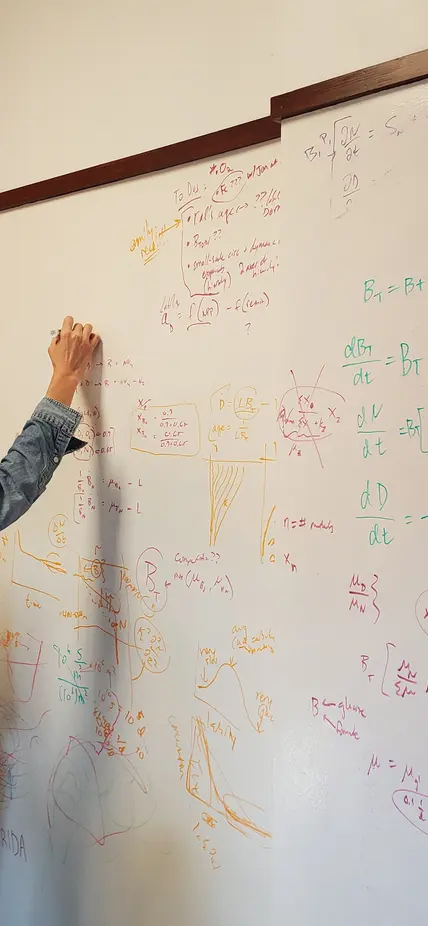 Emily Zakem writes on the whiteboard wall of a Carnegie Science office at Caltech. 