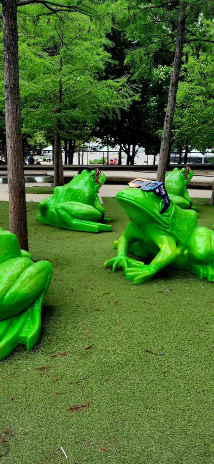 Frogs in front of the Perot Museum of Nature and Science sport eclipse glasses