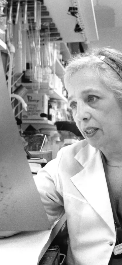 Maxine Singer examines data in the lab in 1989. Photograph by Bruce Reedy Photography. 