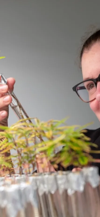 Britany Belin Looks at Legumes