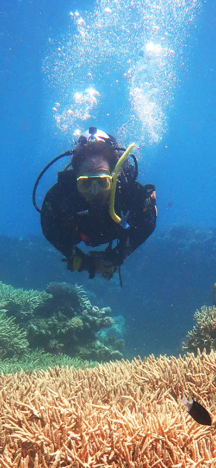 Carnegie’s Phillip Cleves scuba diving on the Great Barrier Reef in Australia. Cleves uses cutting-edge biology techniques to better understand the risks coral face due to climate change.