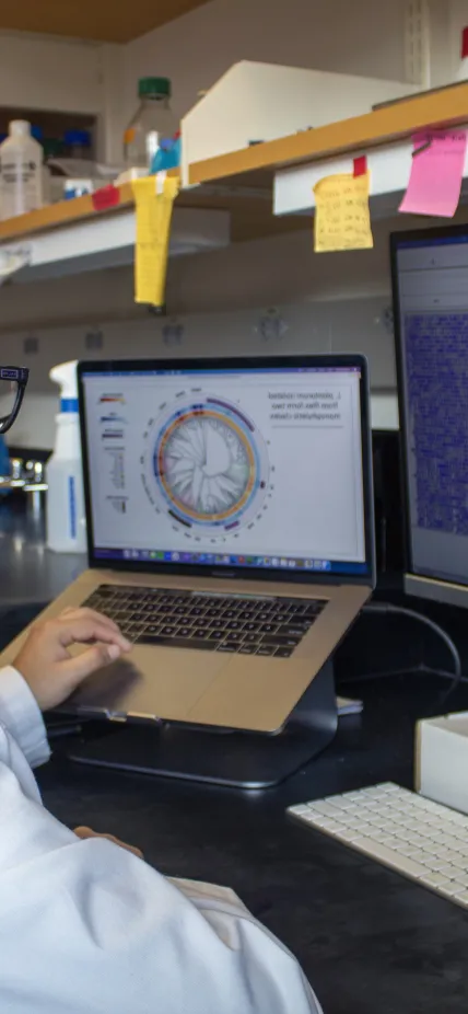 Karina Gutierrez Garcia at work in the Ludington Lab at Carnegie Science