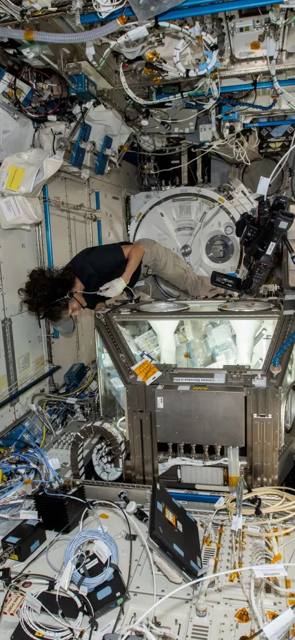 NASA astronaut Suni Williams working on stem cells in the International Space Station. Image is courtesy of NASA. 
