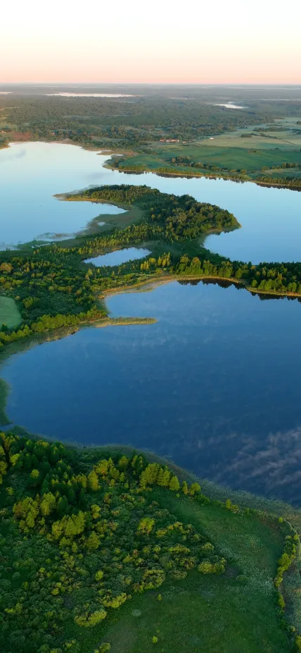 A lake stretches through a green area