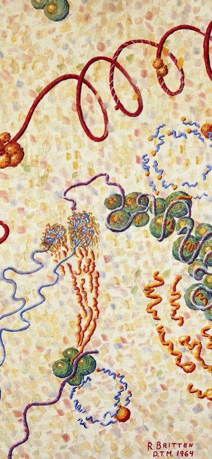 "Macromolecular Metabiology," used for frontispiece of CIW publication 624, "Studies of Macromolecular Biosynthesis"