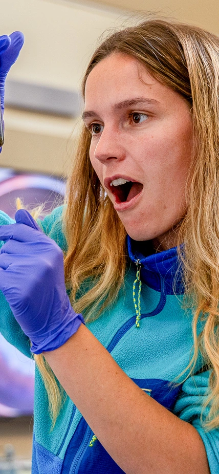 Girl looks on in wonder 