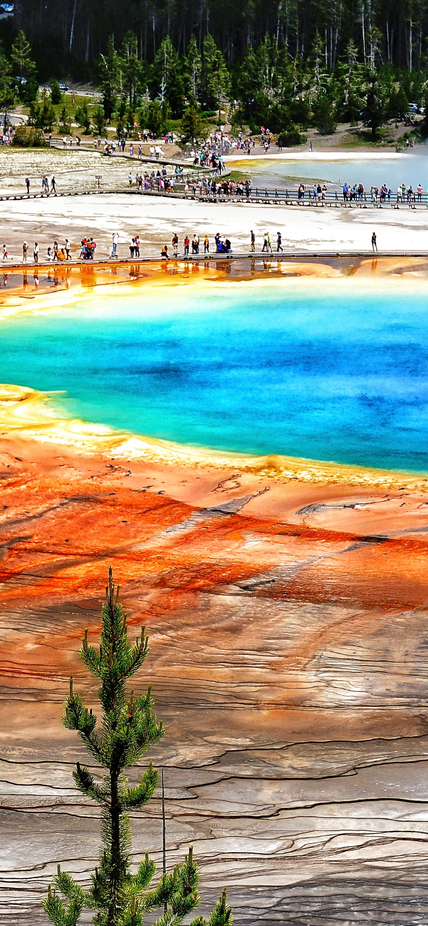 Hot spring surrounded by evergreen trees