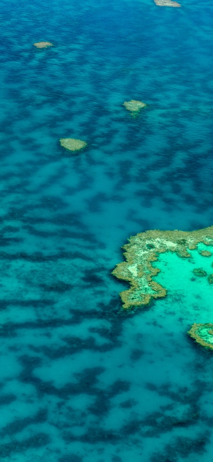 coral reef from overhead