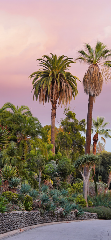 Entrance of The Huntington